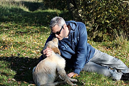 Can My Dog or Cat Give Me a Cold Sore?