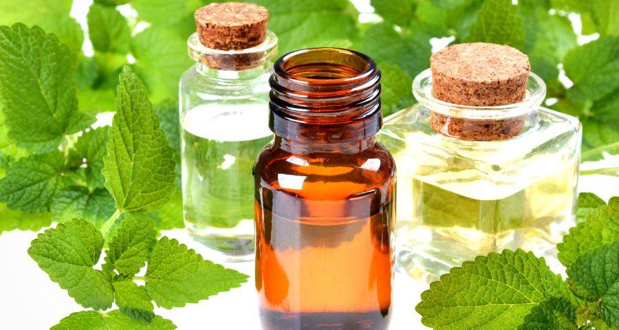Is it Good to Use Lemon Balm Oil for Cold Sores